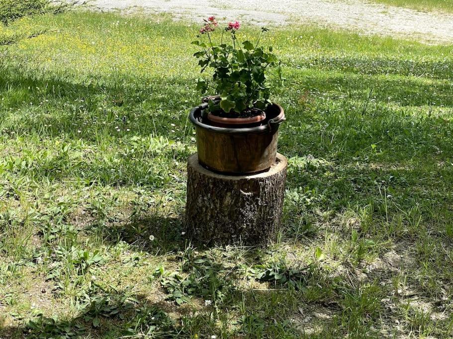 Villa casa RIFUGIO OLIVIERI Falera Esterno foto